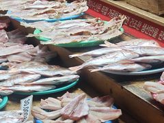 -西归浦每天偶来市场