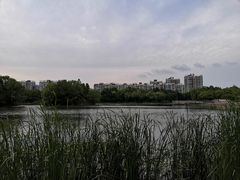 -新江湾城公园