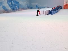 -哈尔滨热雪奇迹