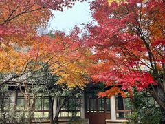 -宝界山林公园