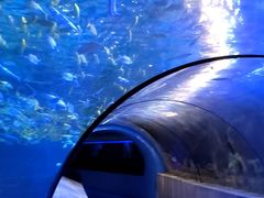 -太平洋海底世界