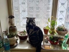 -全心全意连锁动物医院·特色中医诊疗(会城门分院)