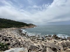 -广东惠东海龟国家级自然保护区