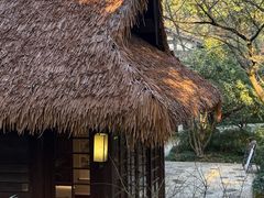 -中国茶叶博物馆(双峰馆区)