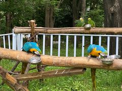 -哈尔滨北方森林动物园