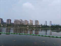 -金银湖国家城市湿地公园