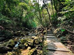 -鼎湖山风景区