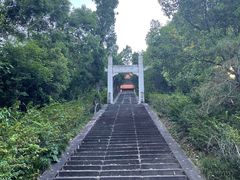 -深圳仙湖植物园