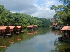 -侨美·唐荔园·40年地道粤菜