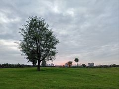 -汉长安城未央宫国家考古遗址公园