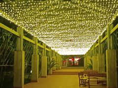 -同里湖度假村(二期店)