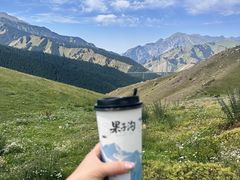 -果子沟大桥