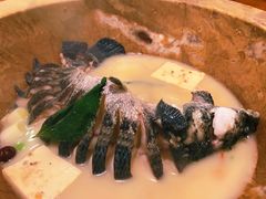 -云中鱼蒸汽石锅鱼(川沙百联店)