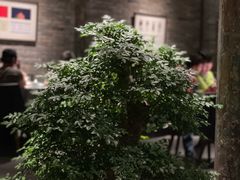 -淮四九宴•老饭骨大师技(前门店)