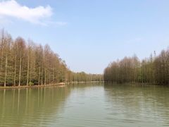 -上海海湾国家森林公园