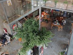 -了不起的考拉咖啡店(高新店)