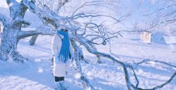 -大秃顶子山(雪谷店)