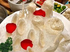 -椰子湾·海南火锅·糟粕醋·椰子鸡(正大广场店)