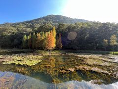 -广州市石门国家森林公园