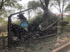 -上海都市菜园