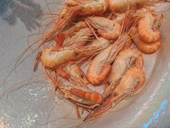 -漢頓温泉度假酒店