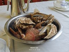 扇贝&nbsp;生耗-宾朋海鲜特色美食餐厅·纯手工鲅鱼水饺(兴海路店)