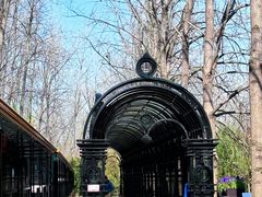 -合肥滨湖国家森林公园