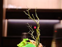 -顺风123(观音桥大融城店)