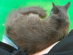 -茂业百货(东门店)