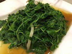 -红城阁·上海味道(四平路店)