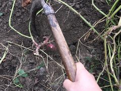 -乡乐园蟹庄·阳澄湖农家乐