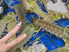 水产区-鸿港海鲜批发市场