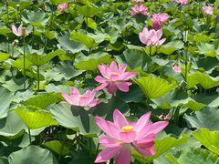 -云龙湖旅游景区