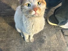 -皮市街大油火烧