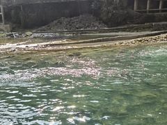-阿依河景区