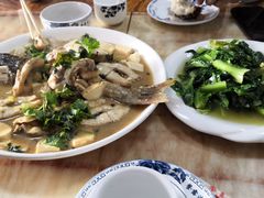 -煲来饱去冷水鱼