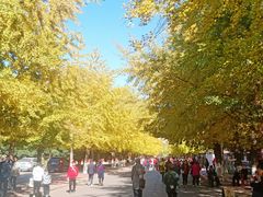 -辽宁大学(崇山校区)