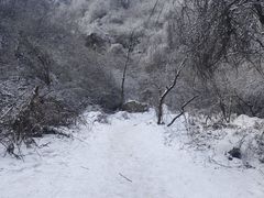 -秦岭风景区