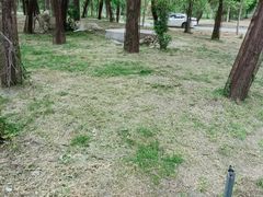 -秦皇岛野生动物园