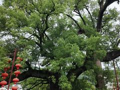 -新安江山水画廊风景区