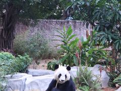 -灵玲国际马戏城