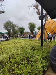 -季高兔窝窝亲子园(上海薰衣草公园店)