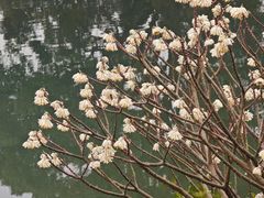 -雅达·阳羡溪山小镇中心