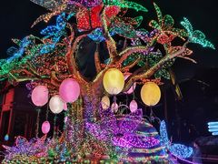 -珠海长隆海洋王国