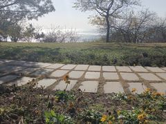-青岛海景花园大酒店