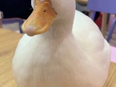 -蓉匠川串火锅(星光综合楼店)