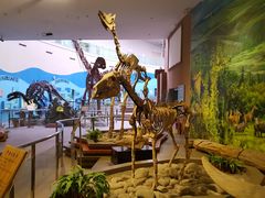 -陕西自然博物馆