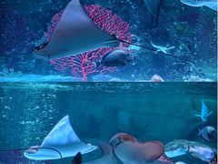 -沈阳海洋探索中心