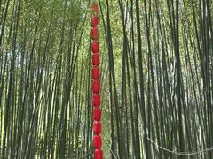 -竹泉村旅游度假区
