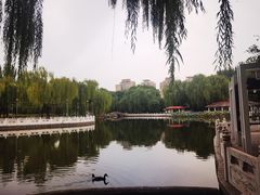 -丰台花园